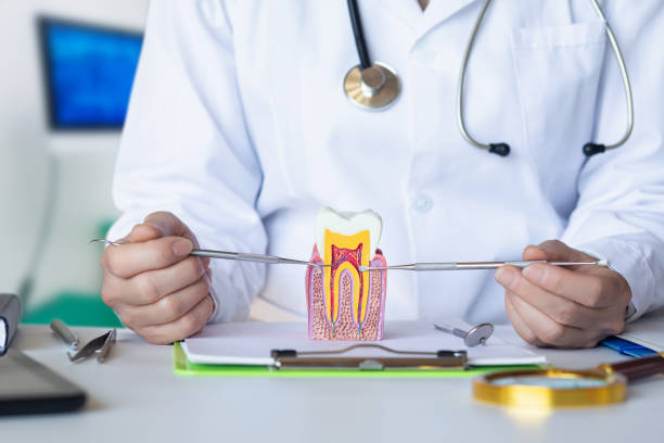 Best Pediatric Emergency Dentist in Forest, VA